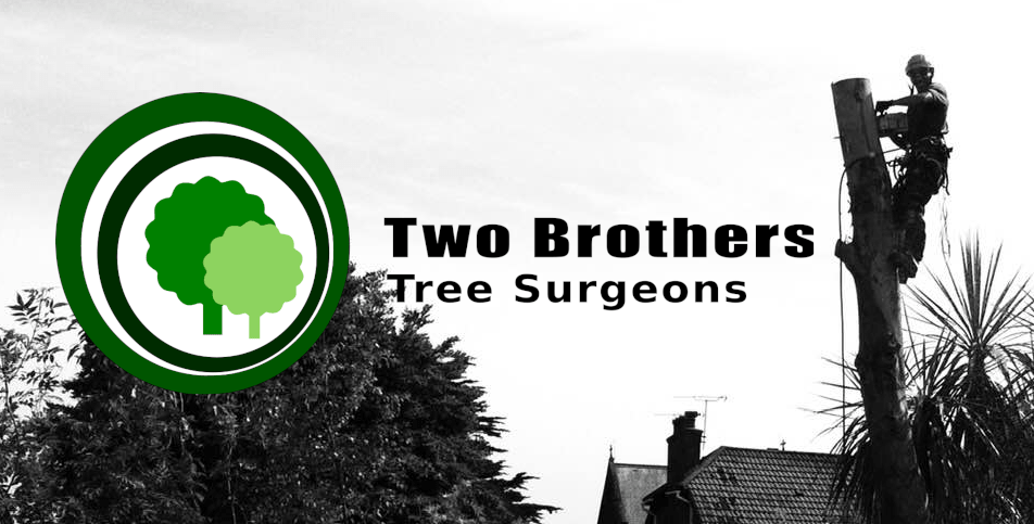 Two Brothers Tree Surgeons